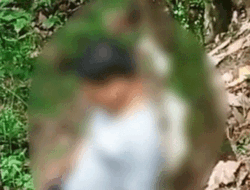 Tragis, Seorang ASN Ditemukan Tergantung di Pohon Kakao, Mamuju Identitasnya Beredar di Medsos