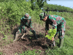 Personel Kodim 0713 Brebes Tanam Pohon Kayu Keras Rindangkan Lapangan Tembak